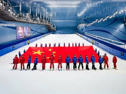 2024社会实录：解析“网贷”与“线上赌博”交织下的新型债务危机结构。（2024社会观察：网贷与线上赌博交织下的债务危机新格局解析）